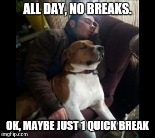 All day no breaks | ALL DAY, NO BREAKS. OK, MAYBE JUST 1 QUICK BREAK | image tagged in funny,lazy,tired,dog,leonardo dicaprio cheers | made w/ Imgflip meme maker