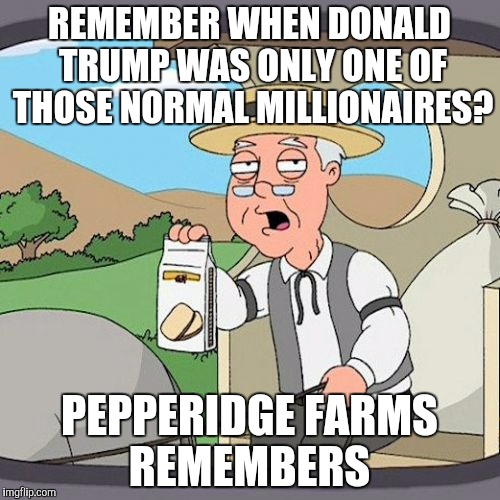 I remember seeing him in Home Alone 2 | REMEMBER WHEN DONALD TRUMP WAS ONLY ONE OF THOSE NORMAL MILLIONAIRES? PEPPERIDGE FARMS REMEMBERS | image tagged in memes,pepperidge farm remembers,donald trump | made w/ Imgflip meme maker