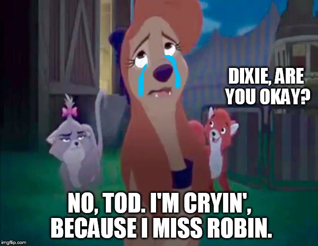 I Miss Robin | DIXIE, ARE YOU OKAY? NO, TOD. I'M CRYIN', BECAUSE I MISS ROBIN. | image tagged in sad dixie,memes,disney,the fox and the hound 2,robin williams tribute,reba mcentire | made w/ Imgflip meme maker