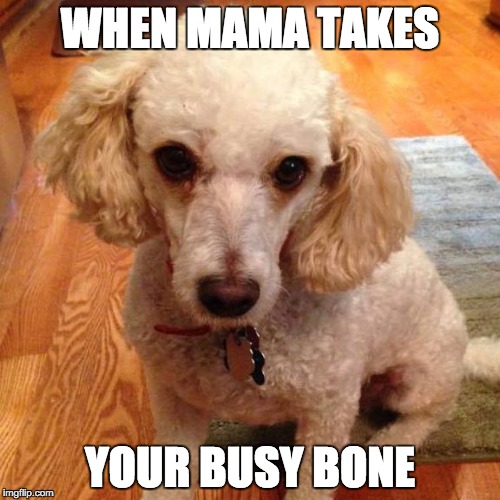 WHEN MAMA TAKES; YOUR BUSY BONE | image tagged in rylie | made w/ Imgflip meme maker