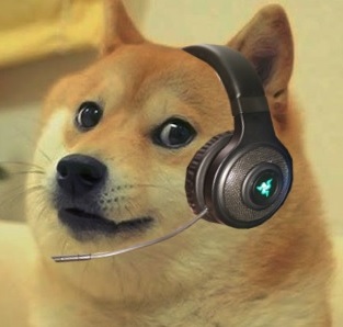 Doge cs go Blank Template - Imgflip