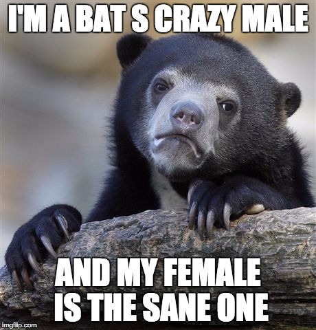 Confession Bear Meme | I'M A BAT S CRAZY MALE AND MY FEMALE IS THE SANE ONE | image tagged in memes,confession bear | made w/ Imgflip meme maker