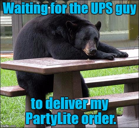 Still Waiting | Waiting for the UPS guy; to deliver my PartyLite order. | image tagged in still waiting | made w/ Imgflip meme maker