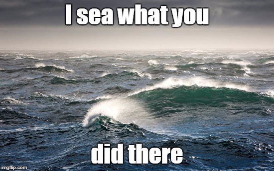 I sea what you did there | made w/ Imgflip meme maker