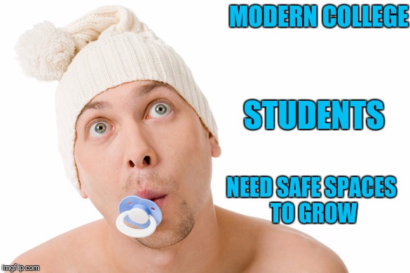 Save Me From The Cruelness of the World | MODERN COLLEGE; STUDENTS; NEED SAFE SPACES TO GROW | image tagged in politics,safe space | made w/ Imgflip meme maker