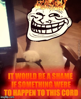 Troll Cat | IT WOULD BE A SHAME IF SOMETHING WERE TO HAPPEN TO THIS CORD | image tagged in cat,troll face | made w/ Imgflip meme maker