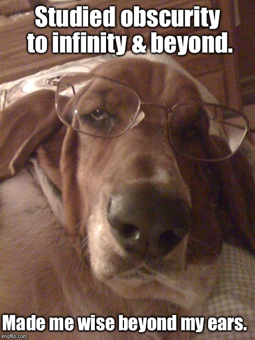 Dr. Basset Hound | Studied obscurity to infinity & beyond. Made me wise beyond my ears. | image tagged in meme,smart basset hound | made w/ Imgflip meme maker