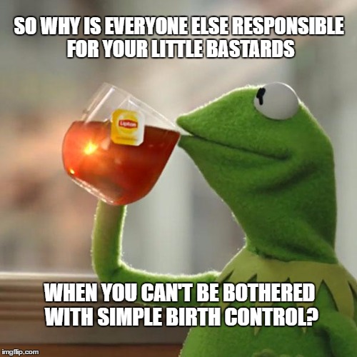 But That's None Of My Business Meme | SO WHY IS EVERYONE ELSE RESPONSIBLE FOR YOUR LITTLE BASTARDS WHEN YOU CAN'T BE BOTHERED WITH SIMPLE BIRTH CONTROL? | image tagged in memes,but thats none of my business,kermit the frog | made w/ Imgflip meme maker