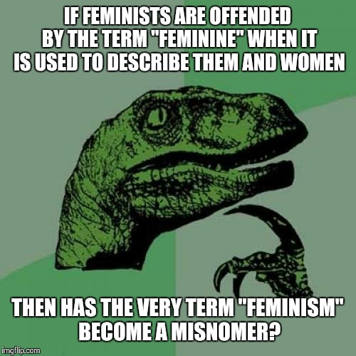 Philosoraptor Meme | IF FEMINISTS ARE OFFENDED BY THE TERM "FEMININE" WHEN IT IS USED TO DESCRIBE THEM AND WOMEN; THEN HAS THE VERY TERM "FEMINISM" BECOME A MISNOMER? | image tagged in memes,philosoraptor | made w/ Imgflip meme maker