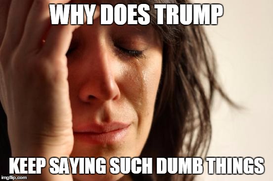 First World Problems Meme | WHY DOES TRUMP KEEP SAYING SUCH DUMB THINGS | image tagged in memes,first world problems | made w/ Imgflip meme maker