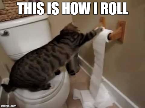 THIS IS HOW I ROLL | made w/ Imgflip meme maker