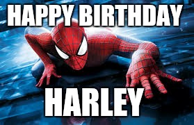HAPPY BIRTHDAY; HARLEY | image tagged in you get an x and you get an x | made w/ Imgflip meme maker