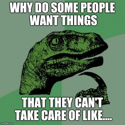 Philosoraptor | WHY DO SOME PEOPLE WANT THINGS; THAT THEY CAN'T TAKE CARE OF LIKE.... | image tagged in memes,philosoraptor | made w/ Imgflip meme maker