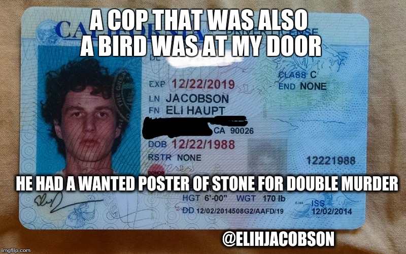 A COP THAT WAS ALSO A BIRD WAS AT MY DOOR; HE HAD A WANTED POSTER OF STONE FOR DOUBLE MURDER          
                                                                                                                                     @ELIHJACOBSON | made w/ Imgflip meme maker