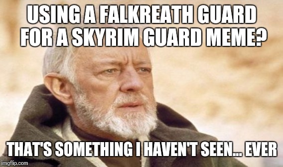 USING A FALKREATH GUARD FOR A SKYRIM GUARD MEME? THAT'S SOMETHING I HAVEN'T SEEN... EVER | made w/ Imgflip meme maker