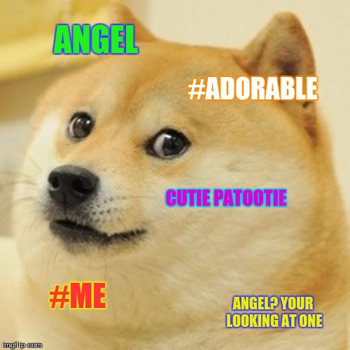 Doge Meme | ANGEL; #ADORABLE; CUTIE PATOOTIE; #ME; ANGEL? YOUR LOOKING AT ONE | image tagged in memes,doge | made w/ Imgflip meme maker