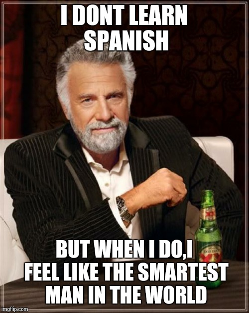 The Most Interesting Man In The World | I DONT LEARN SPANISH; BUT WHEN I DO,I FEEL LIKE THE SMARTEST MAN IN THE WORLD | image tagged in memes,the most interesting man in the world | made w/ Imgflip meme maker