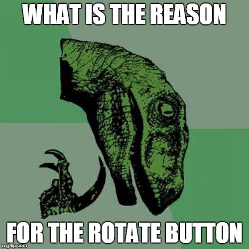 Why would anyone want to use it anyway? | WHAT IS THE REASON; FOR THE ROTATE BUTTON | image tagged in memes,philosoraptor | made w/ Imgflip meme maker