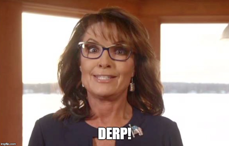 If you're bat s**t crazy and you know it, smile | DERP! | image tagged in sarah palin,crazy | made w/ Imgflip meme maker