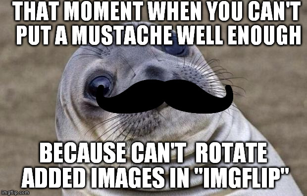 Add that feature!!! (Please) | THAT MOMENT WHEN YOU CAN'T PUT A MUSTACHE WELL ENOUGH; BECAUSE CAN'T  ROTATE ADDED IMAGES IN "IMGFLIP" | image tagged in memes,awkward moment sealion | made w/ Imgflip meme maker
