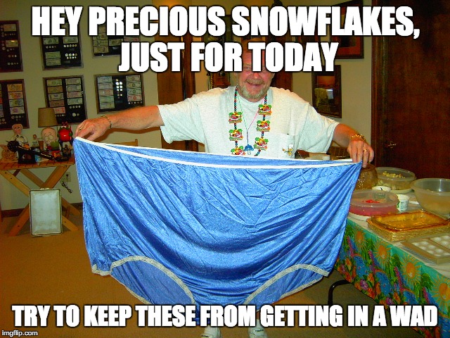 Big Girl Panties | HEY PRECIOUS SNOWFLAKES, JUST FOR TODAY; TRY TO KEEP THESE FROM GETTING IN A WAD | image tagged in big girl panties | made w/ Imgflip meme maker