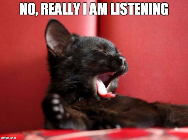 NO, REALLY I AM LISTENING | image tagged in kitten yawn | made w/ Imgflip meme maker