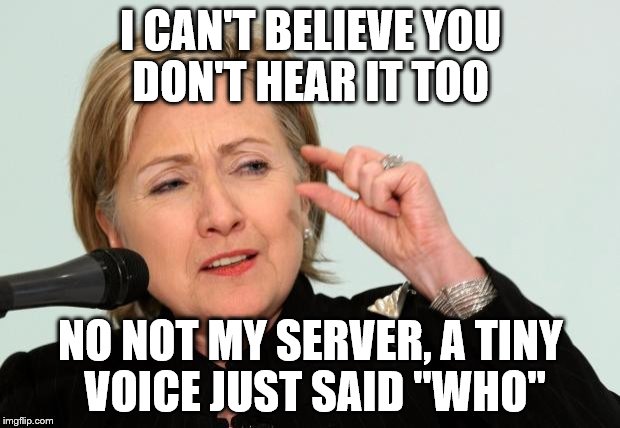 I CAN'T BELIEVE YOU DON'T HEAR IT TOO NO NOT MY SERVER, A TINY VOICE JUST SAID "WHO" | made w/ Imgflip meme maker
