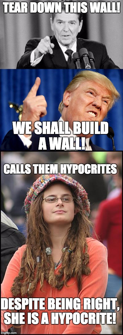 Hmm...  | TEAR DOWN THIS WALL! WE SHALL BUILD A WALL! CALLS THEM HYPOCRITES; DESPITE BEING RIGHT, SHE IS A HYPOCRITE! | image tagged in ronald reagan,donald trump,college liberal,hypocrite | made w/ Imgflip meme maker