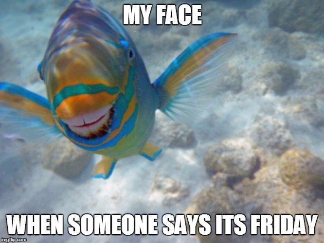 It's Friday! | MY FACE; WHEN SOMEONE SAYS ITS FRIDAY | image tagged in friday,fish meme,it's friday,my face when | made w/ Imgflip meme maker