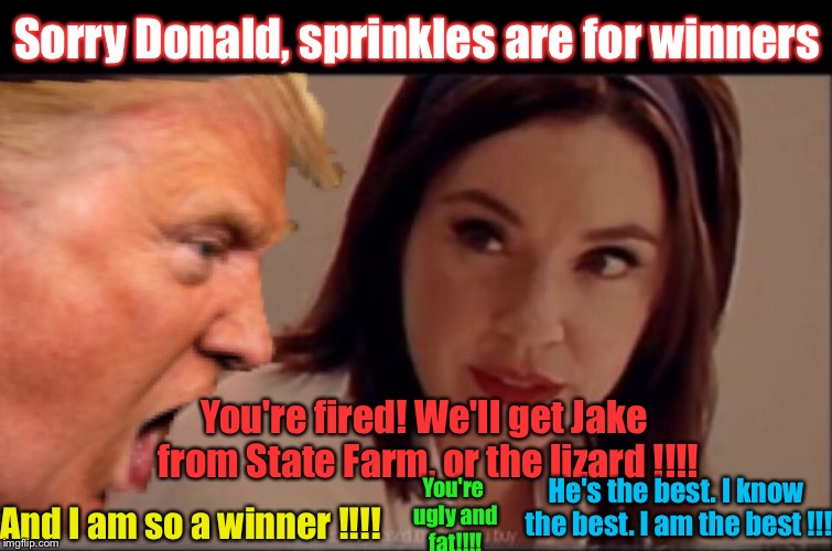 Get Jake.... From State Farm  | Sorry Donald, sprinkles are for winners; You're fired! We'll get Jake from State Farm, or the lizard !!!! He's the best. I know the best. I am the best !!! You're ugly and fat!!!! And I am so a winner !!!! | image tagged in memes,funny,donald trump,flo from progressive | made w/ Imgflip meme maker