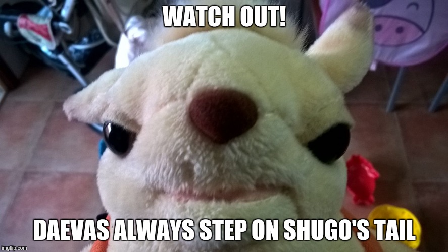shugo | WATCH OUT! DAEVAS ALWAYS STEP ON SHUGO'S TAIL | image tagged in shugo | made w/ Imgflip meme maker