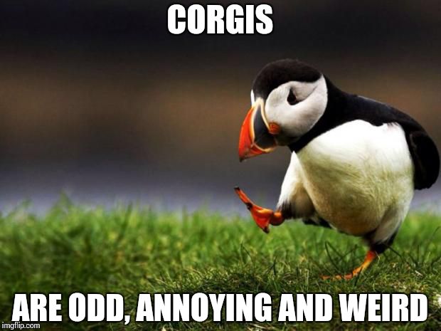 Unpopular Opinion Puffin Meme | CORGIS; ARE ODD, ANNOYING AND WEIRD | image tagged in memes,unpopular opinion puffin | made w/ Imgflip meme maker