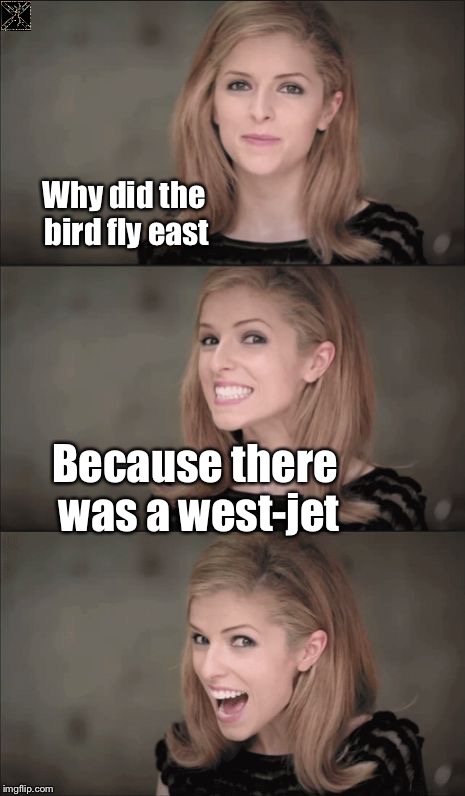 Bad Pun Anna Kendrick | Why did the bird fly east; Because there was a west-jet | image tagged in memes,bad pun anna kendrick | made w/ Imgflip meme maker