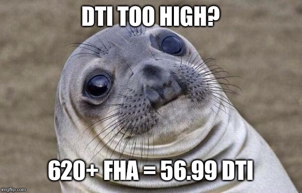 Awkward Moment Sealion Meme | DTI TOO HIGH? 620+ FHA = 56.99 DTI | image tagged in memes,awkward moment sealion | made w/ Imgflip meme maker