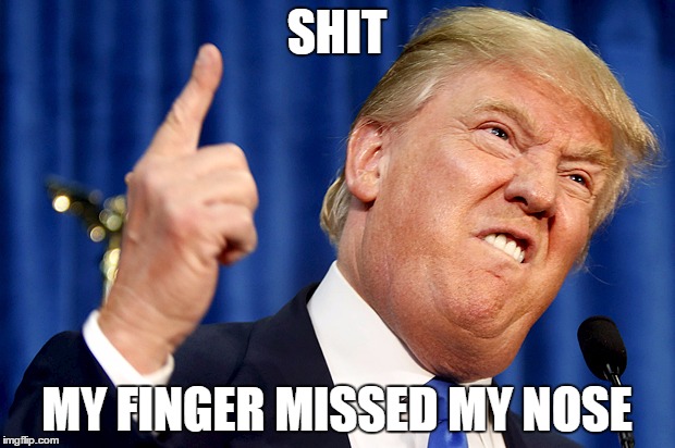 Donald Trump | SHIT; MY FINGER MISSED MY NOSE | image tagged in donald trump | made w/ Imgflip meme maker