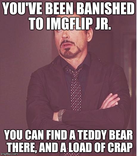 Face You Make Robert Downey Jr Meme | YOU'VE BEEN BANISHED TO IMGFLIP JR. YOU CAN FIND A TEDDY BEAR THERE, AND A LOAD OF CRAP | image tagged in memes,face you make robert downey jr | made w/ Imgflip meme maker