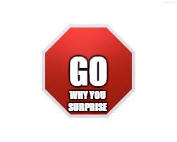 stop sign | GO; WHY YOU SURPRISE | image tagged in stop sign | made w/ Imgflip meme maker