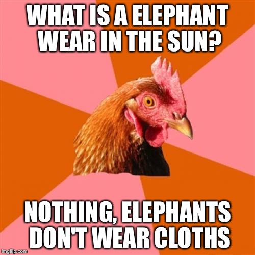 WHAT IS A ELEPHANT WEAR IN THE SUN? NOTHING, ELEPHANTS DON'T WEAR CLOTHS | made w/ Imgflip meme maker
