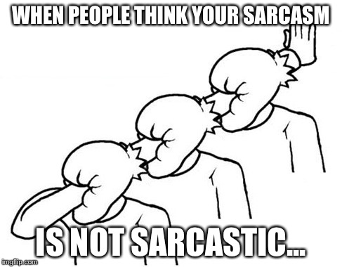 WHEN PEOPLE THINK YOUR SARCASM; IS NOT SARCASTIC... | image tagged in memes | made w/ Imgflip meme maker