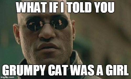 Matrix Morpheus Meme | WHAT IF I TOLD YOU GRUMPY CAT WAS A GIRL | image tagged in memes,matrix morpheus | made w/ Imgflip meme maker