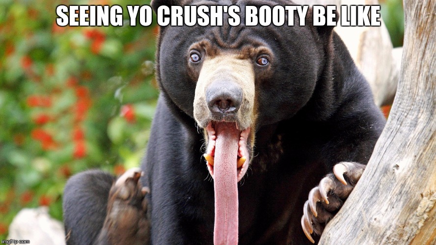 ( ͡° ͜ʖ ͡°) | SEEING YO CRUSH'S BOOTY BE LIKE | image tagged in bear | made w/ Imgflip meme maker