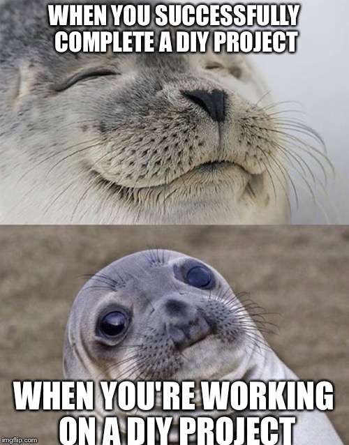 So true. So true. | WHEN YOU SUCCESSFULLY COMPLETE A DIY PROJECT; WHEN YOU'RE WORKING ON A DIY PROJECT | image tagged in memes,short satisfaction vs truth | made w/ Imgflip meme maker