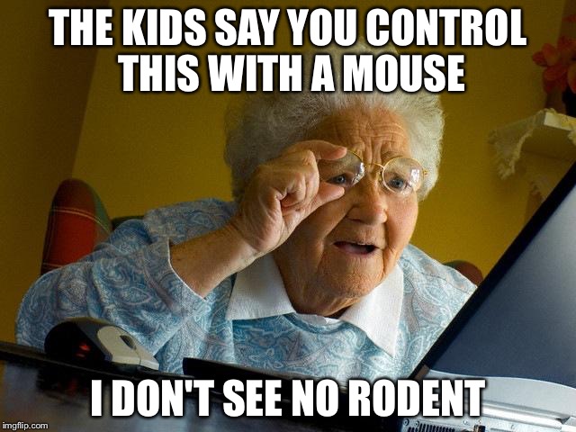 Grandma Finds The Internet | THE KIDS SAY YOU CONTROL THIS WITH A MOUSE; I DON'T SEE NO RODENT | image tagged in memes,grandma finds the internet | made w/ Imgflip meme maker