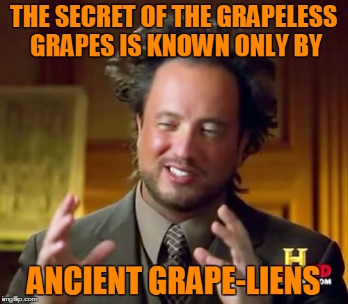 Ancient Aliens Meme | THE SECRET OF THE GRAPELESS GRAPES IS KNOWN ONLY BY ANCIENT GRAPE-LIENS | image tagged in memes,ancient aliens | made w/ Imgflip meme maker