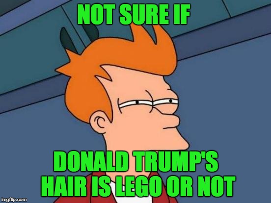 Futurama Fry | NOT SURE IF; DONALD TRUMP'S HAIR IS LEGO OR NOT | image tagged in memes,futurama fry | made w/ Imgflip meme maker