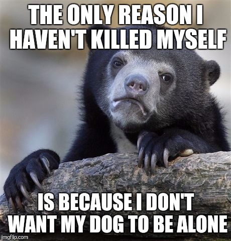 Confession Bear Meme | THE ONLY REASON I HAVEN'T KILLED MYSELF; IS BECAUSE I DON'T WANT MY DOG TO BE ALONE | image tagged in memes,confession bear,AdviceAnimals | made w/ Imgflip meme maker