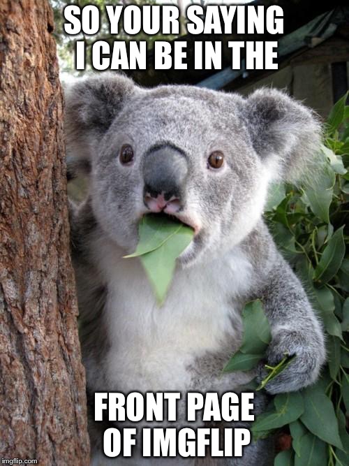 Surprised Koala | SO YOUR SAYING I CAN BE IN THE; FRONT PAGE OF IMGFLIP | image tagged in memes,surprised koala | made w/ Imgflip meme maker