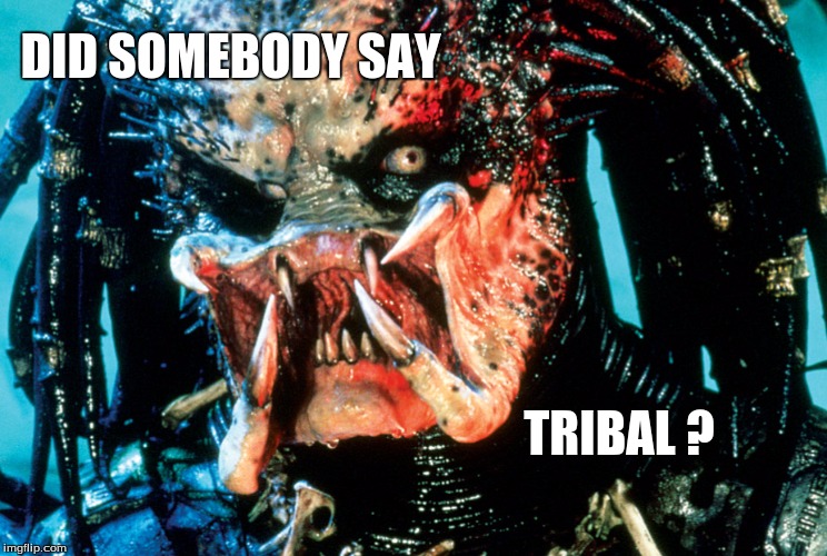 DID SOMEBODY SAY; TRIBAL ? | image tagged in did somebody say tribal | made w/ Imgflip meme maker