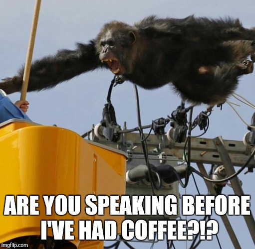 I Need Caffeine! | ARE YOU SPEAKING BEFORE I'VE HAD COFFEE?!? | image tagged in coffee addict | made w/ Imgflip meme maker