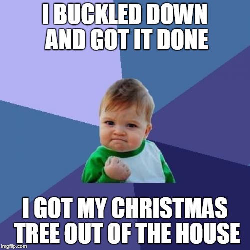 Success Kid Meme | I BUCKLED DOWN AND GOT IT DONE; I GOT MY CHRISTMAS TREE OUT OF THE HOUSE | image tagged in memes,success kid,AdviceAnimals | made w/ Imgflip meme maker